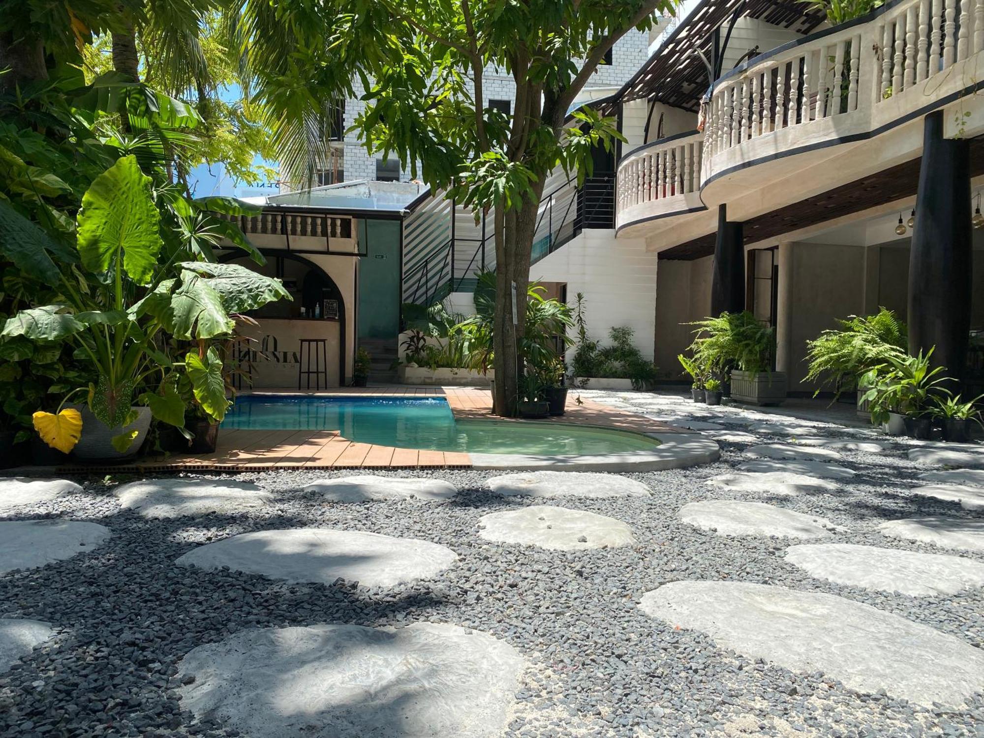 Zinnia Maafushi - Inclusive Airport Roundtrip - Snorkeling - Picnic - Sandbank For 2 Adults With Min 4-Nights Stay - Applicable For Bookings Made From 1St June 2025 Stay Period Till 31St Oct 2025 Dış mekan fotoğraf